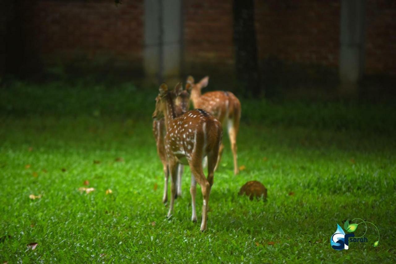 Sarah Resort Gazipur Экстерьер фото